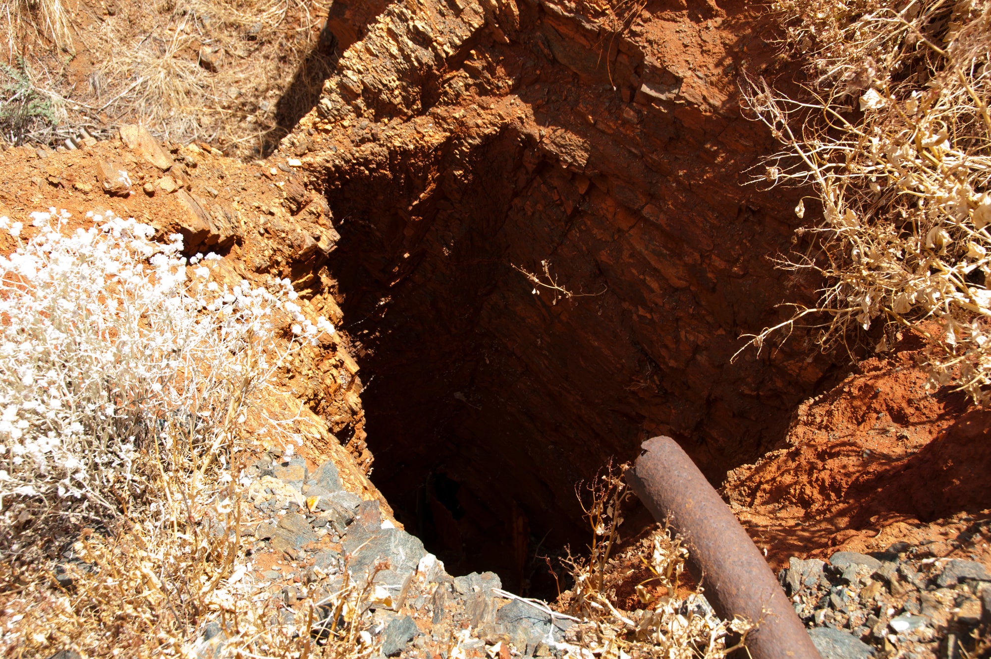 Borehole, shaft, well, reservoir inspection cameras 