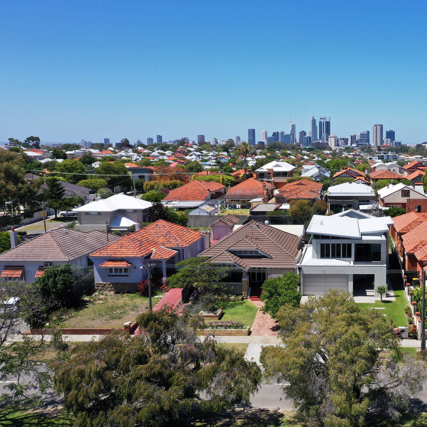 Aqua SnakeEye Inspection Camera